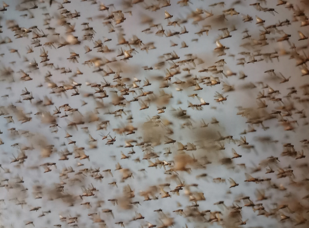 Moving Formations – Sublime